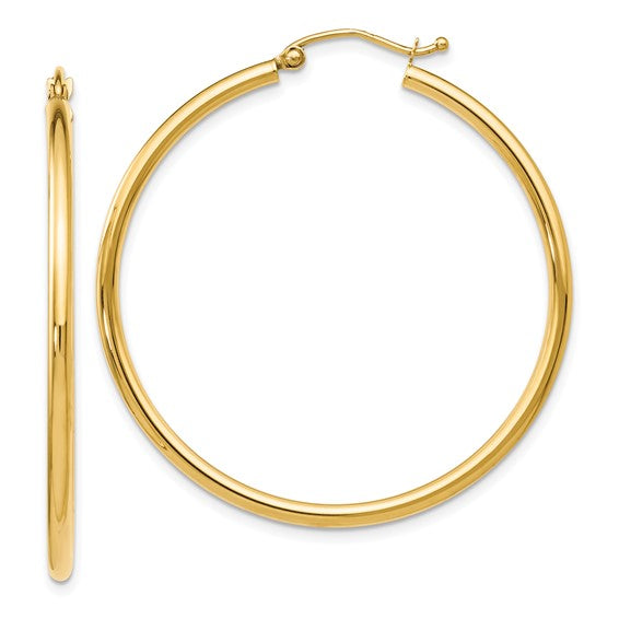 Gold Earring