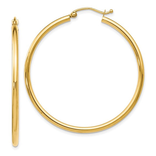 Gold Earring