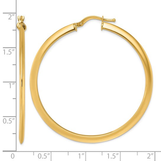 Gold Earring
