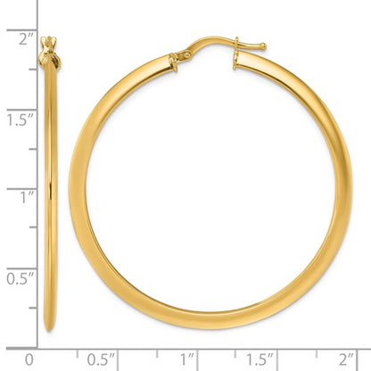 Gold Earring