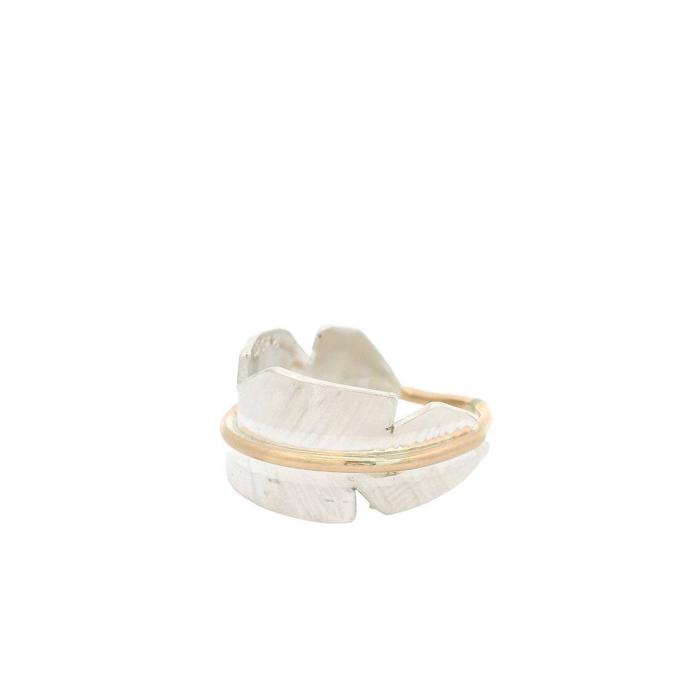 Goldfilled Ring